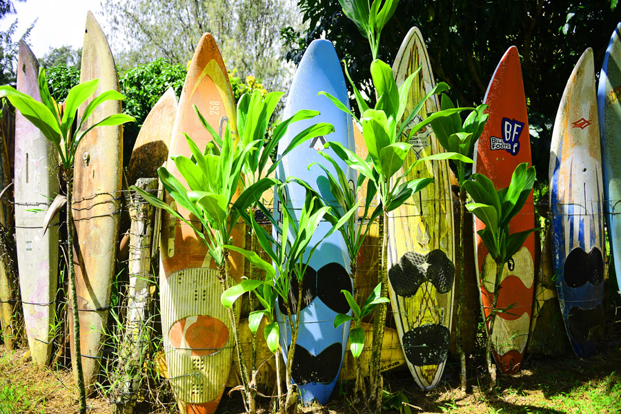Colorfulsurfboards